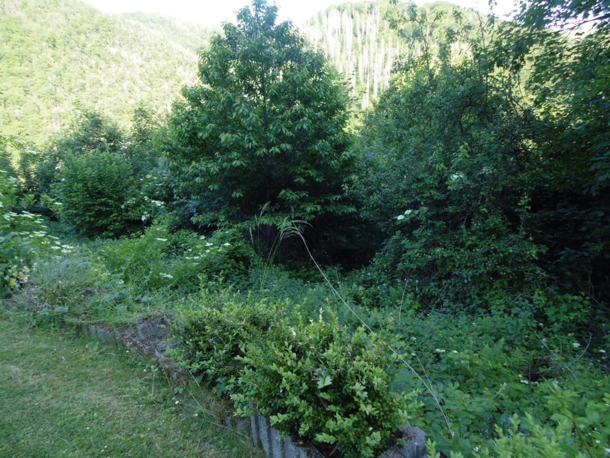 Waldbreitbach Ferienwohnung Schaefer מראה חיצוני תמונה