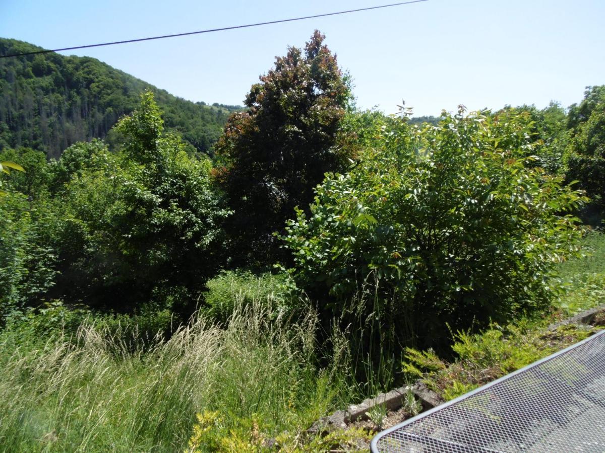 Waldbreitbach Ferienwohnung Schaefer מראה חיצוני תמונה