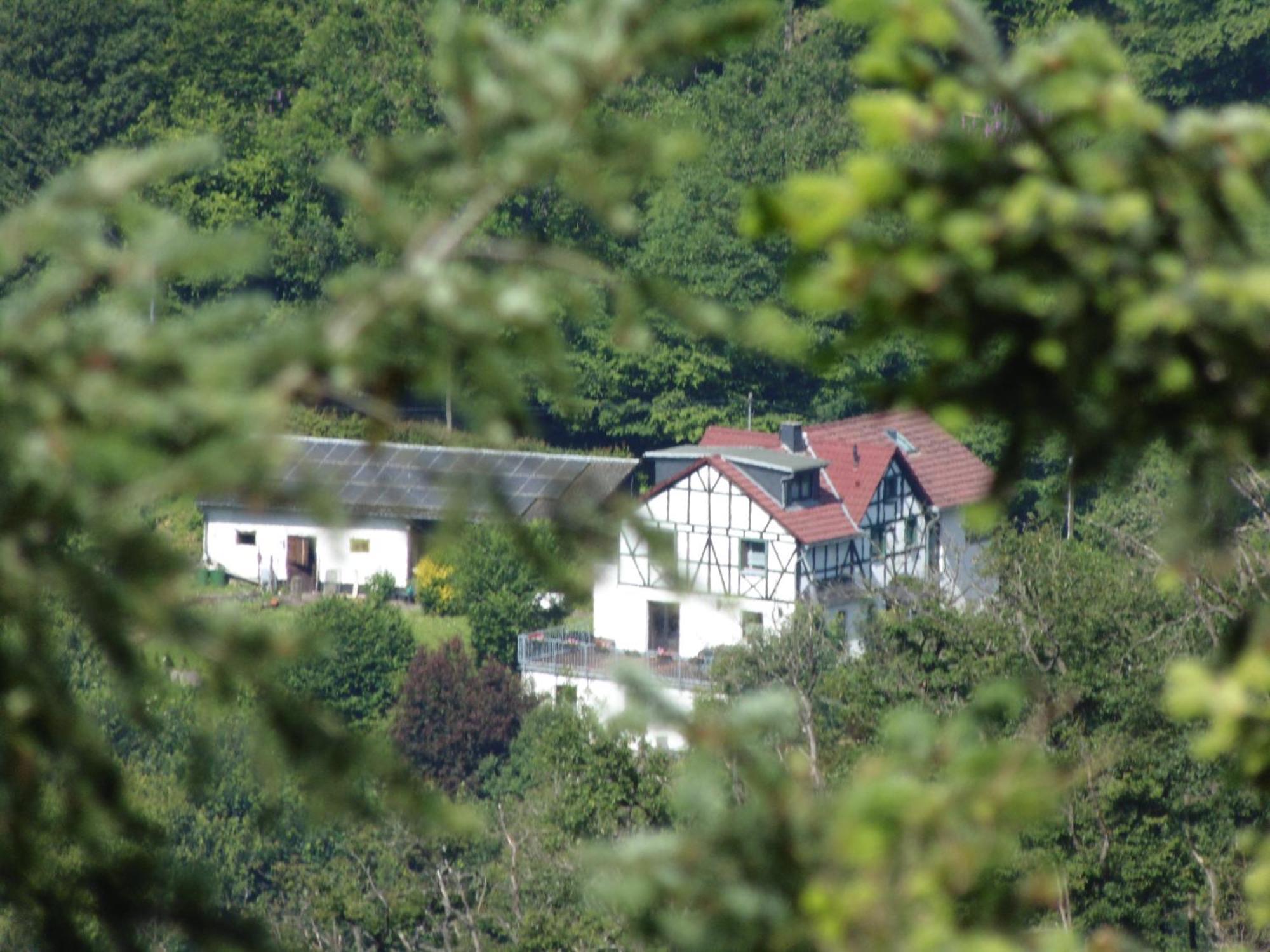 Waldbreitbach Ferienwohnung Schaefer מראה חיצוני תמונה
