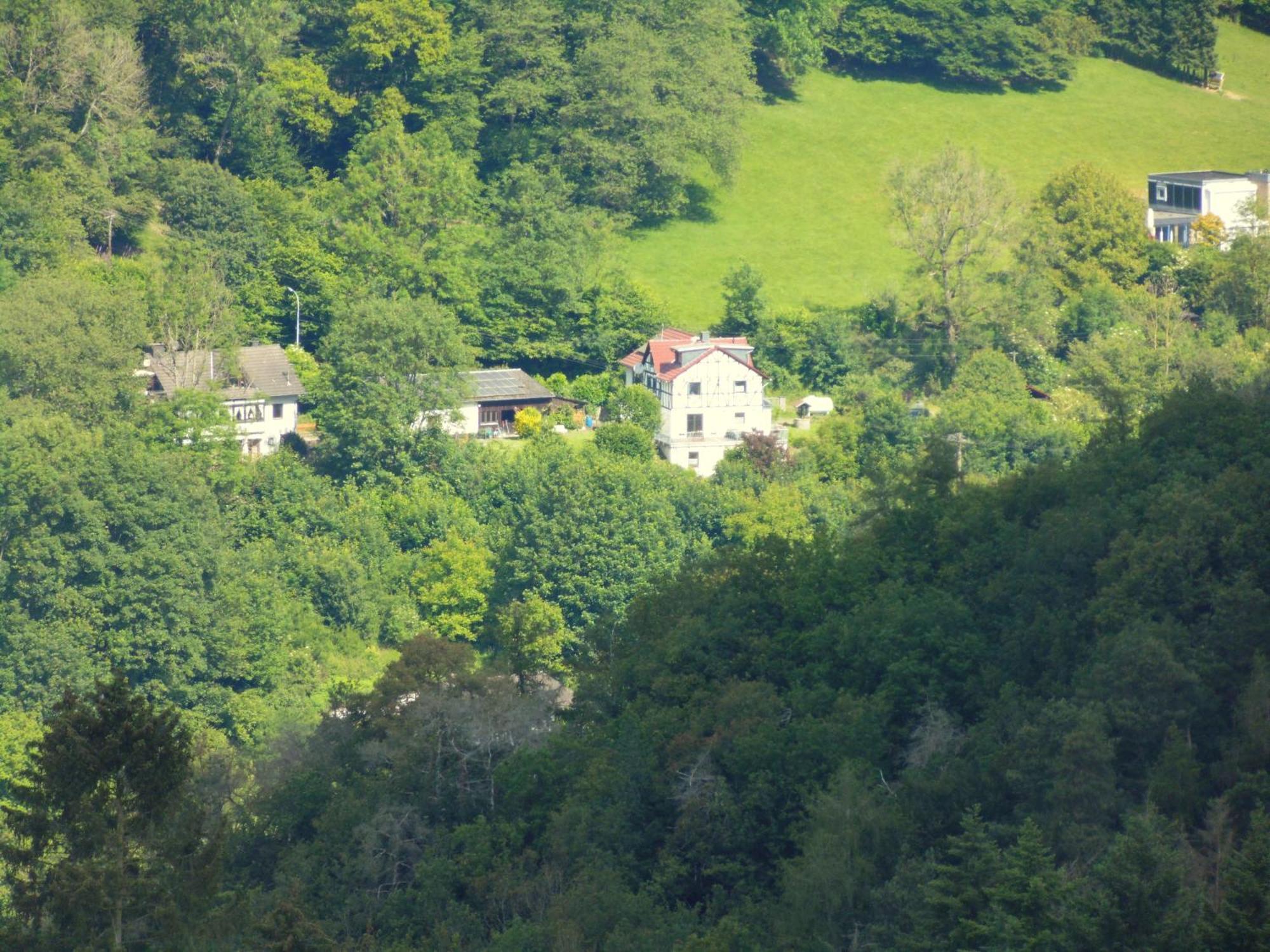 Waldbreitbach Ferienwohnung Schaefer מראה חיצוני תמונה