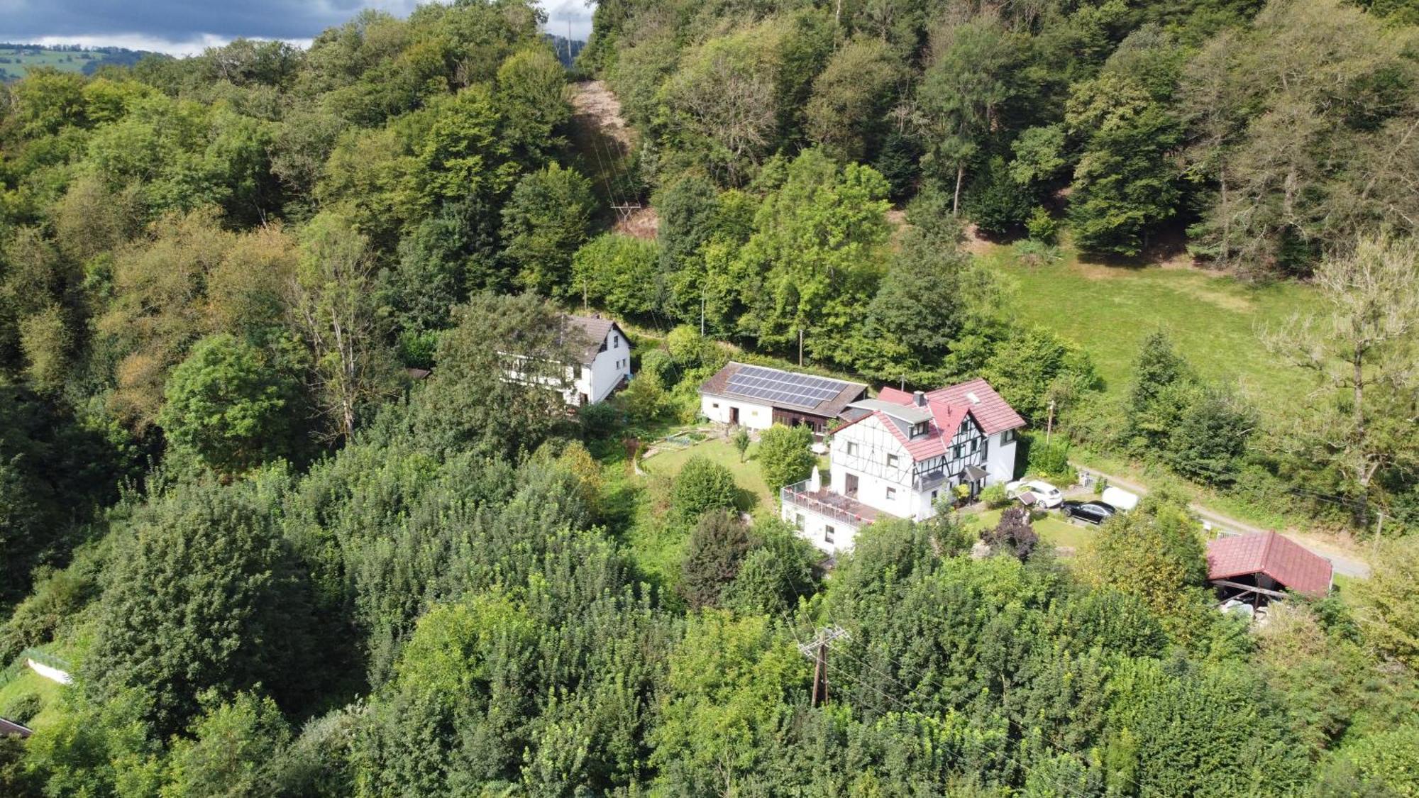 Waldbreitbach Ferienwohnung Schaefer מראה חיצוני תמונה
